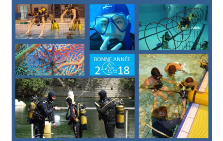 Bonne année 2018