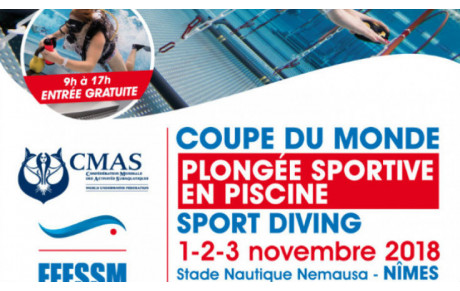 Coupe du monde de PSP