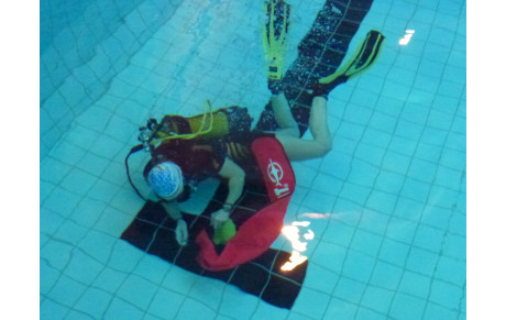 Animation PSP du 3 février 2019